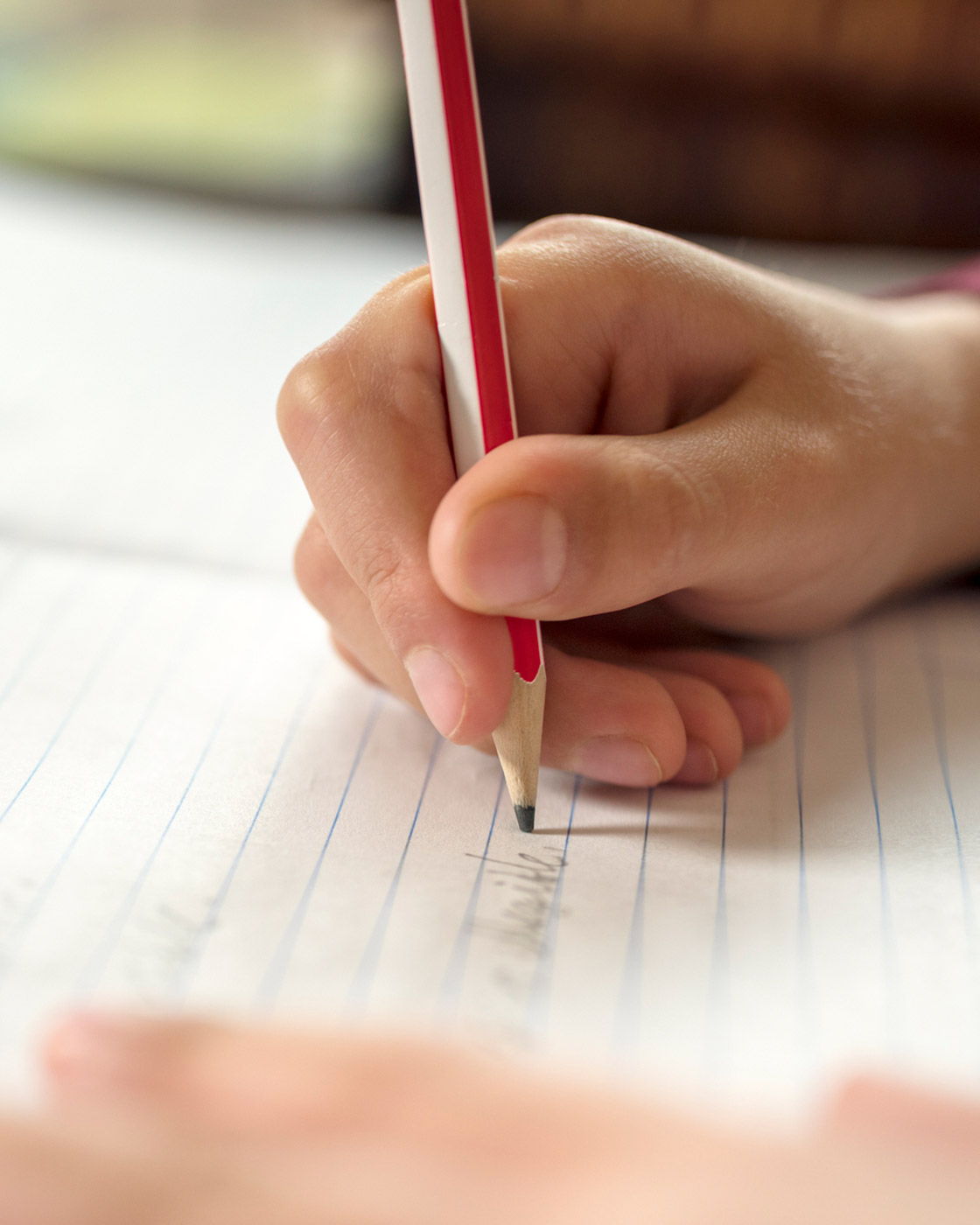 <em>#1</em> Indigenous Education