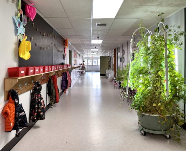 https://sil.sd54.bc.ca/wp-content/uploads/2025/12/2024-SIL-school-4-resized-1-640x520.jpg